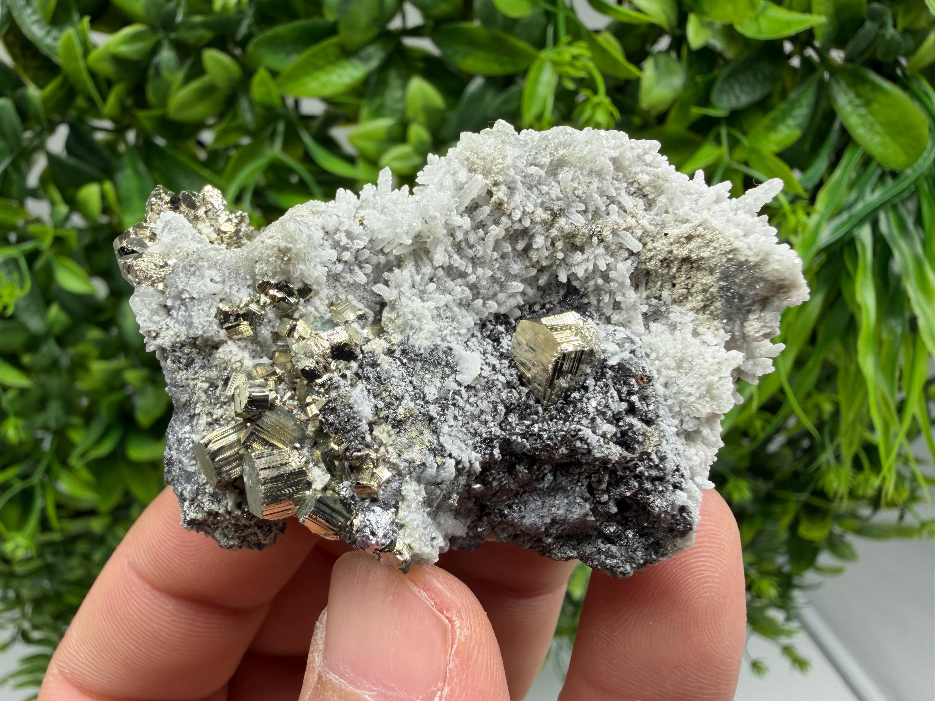 Pyrite Sphalerite Quartz  Mineral Specimen, Krushev dol Mine