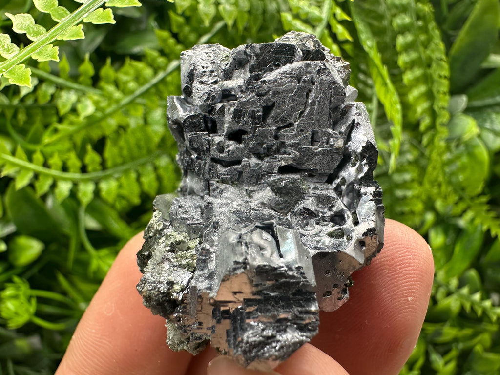 Shiny Galena Cluster: Borieva Mine, Madan, Bulgaria