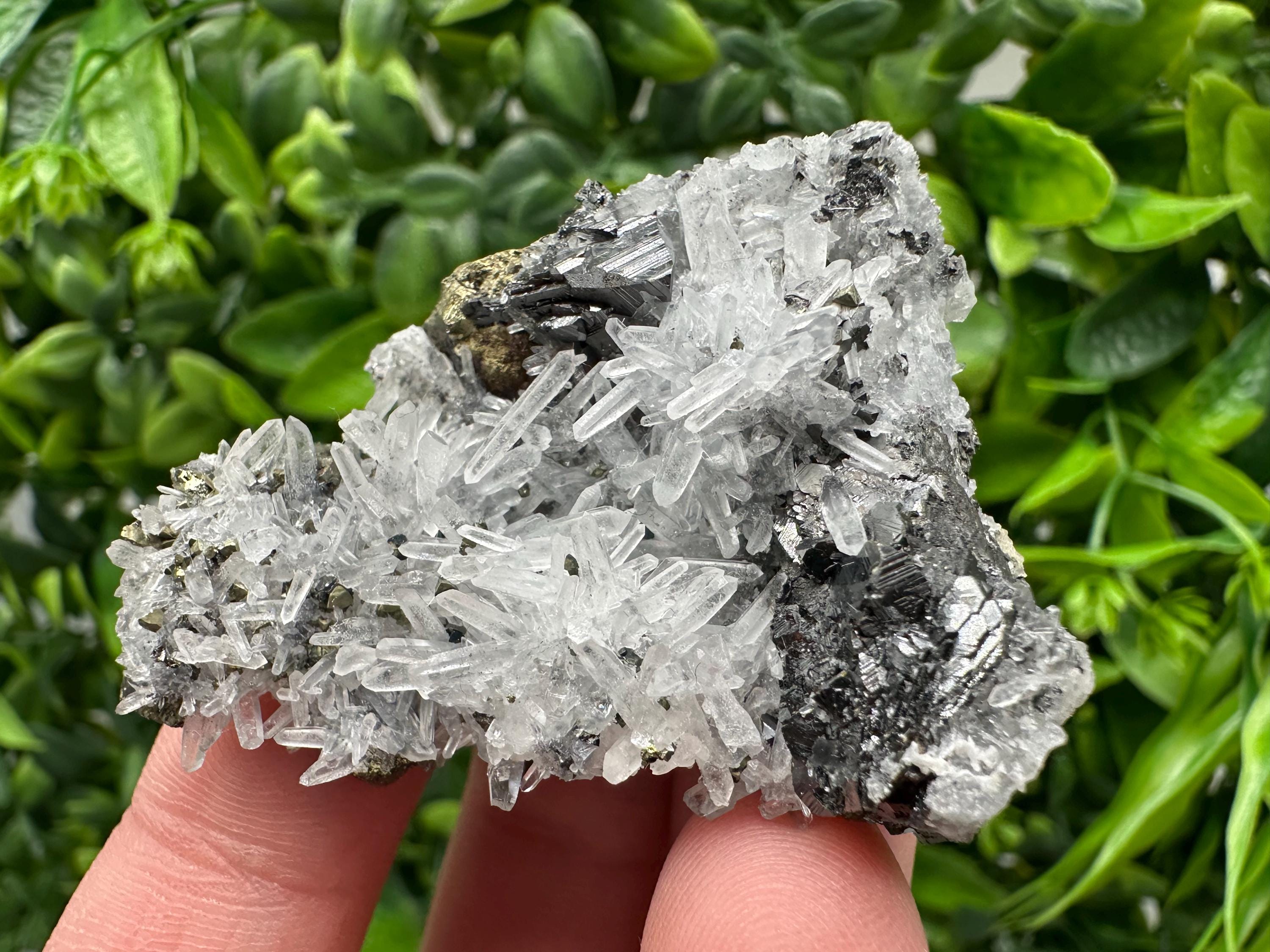 Wonderful Sphalerite Chalcopyrite on  Quartz whit Galena feom 9 th September mine,Bulgaria,natural,collection mineral specimen,gift
