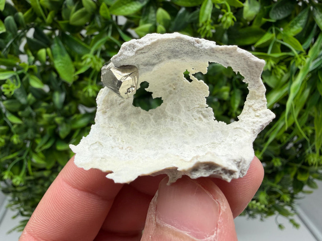 Wonderful Pyrite on Chalcedony from 9 th September mine,Madan,Bulgaria,natural,Collecting mineral specimen,home decor stone,pyrite crystal