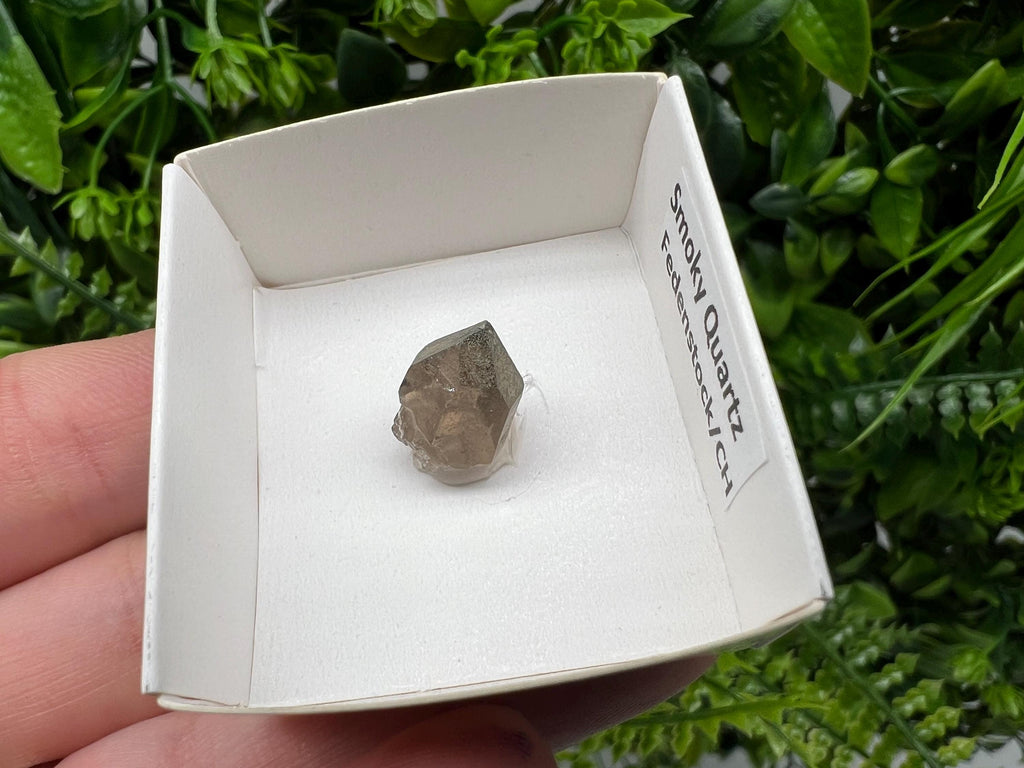 Rare Fedenstock Smoky Quartz Point, Swiss Mineral Specimen (15MM)