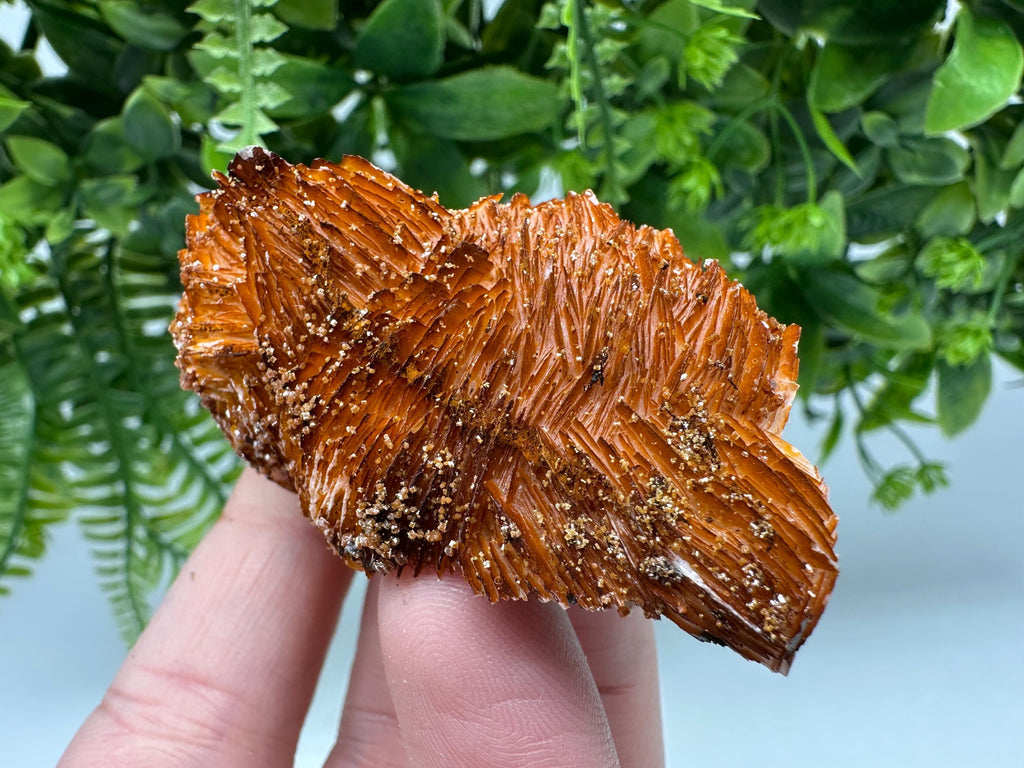 Red Vanadinite Crystal Cluster on Barite Matrix from Morocco