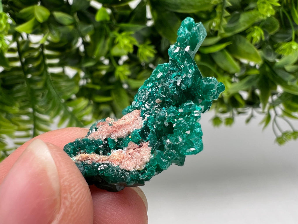 Green Dioptase Crystal, Congo Mineral Specimen, Collecting