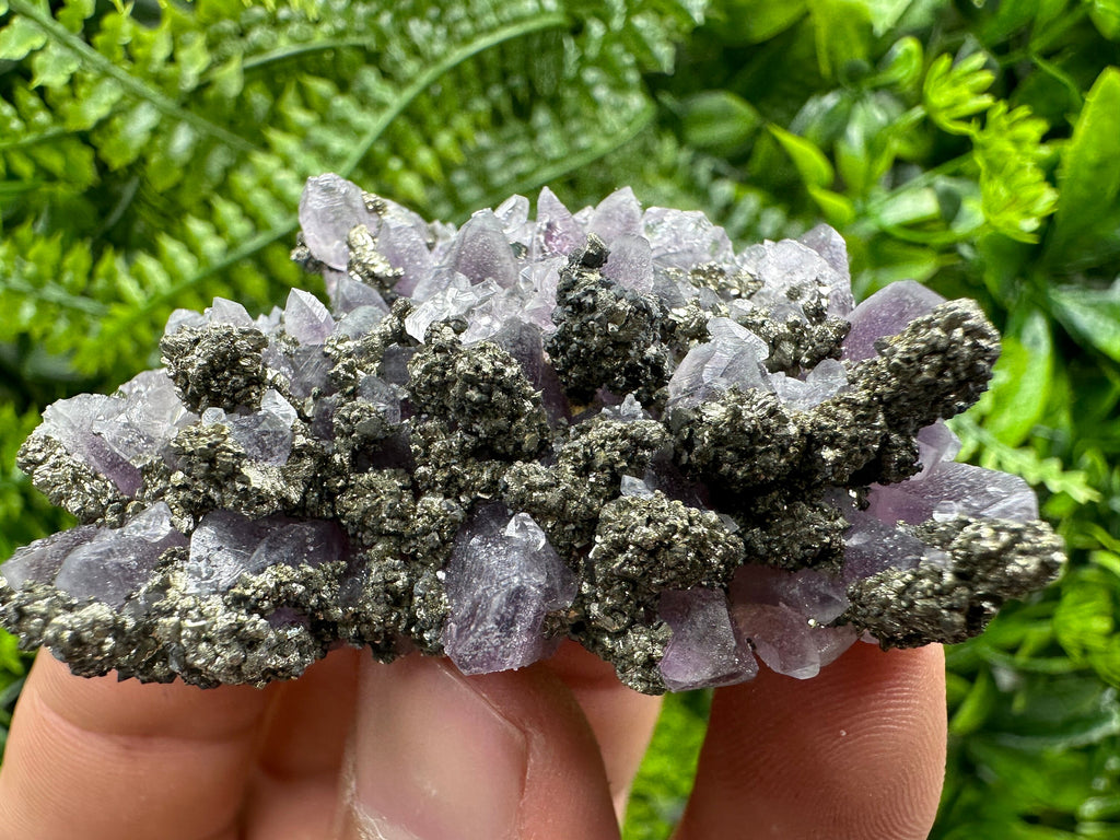 Amethyst with Pyrite: Natural Crystal Mineral Souvenir