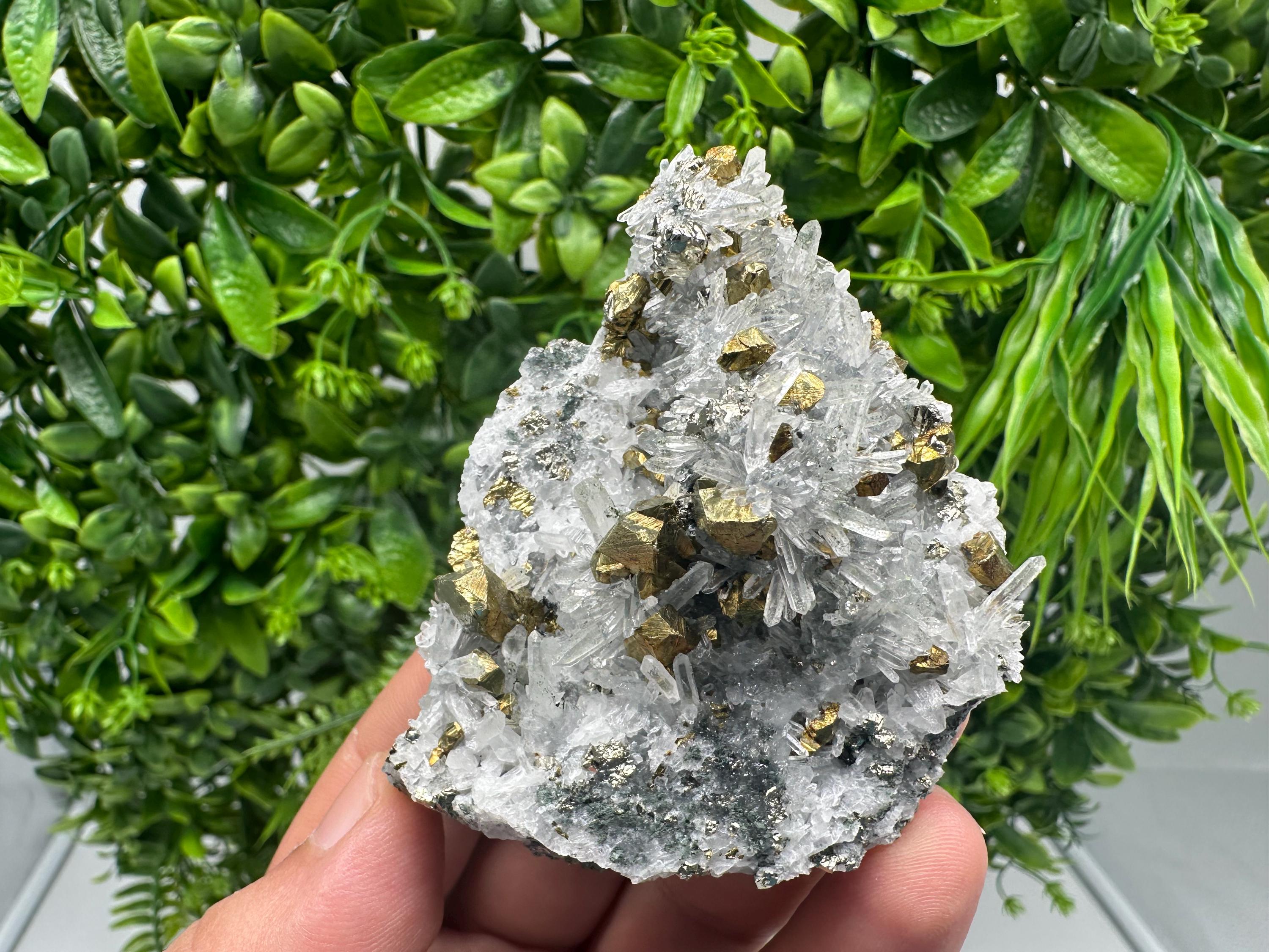 Chalcopyrite on Quartz, Chlorite Mineral Specimen, Bulgaria
