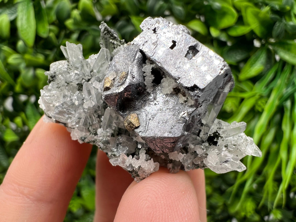 Galena Pyrite Quartz Specimen, Borieva Mine, Bulgaria