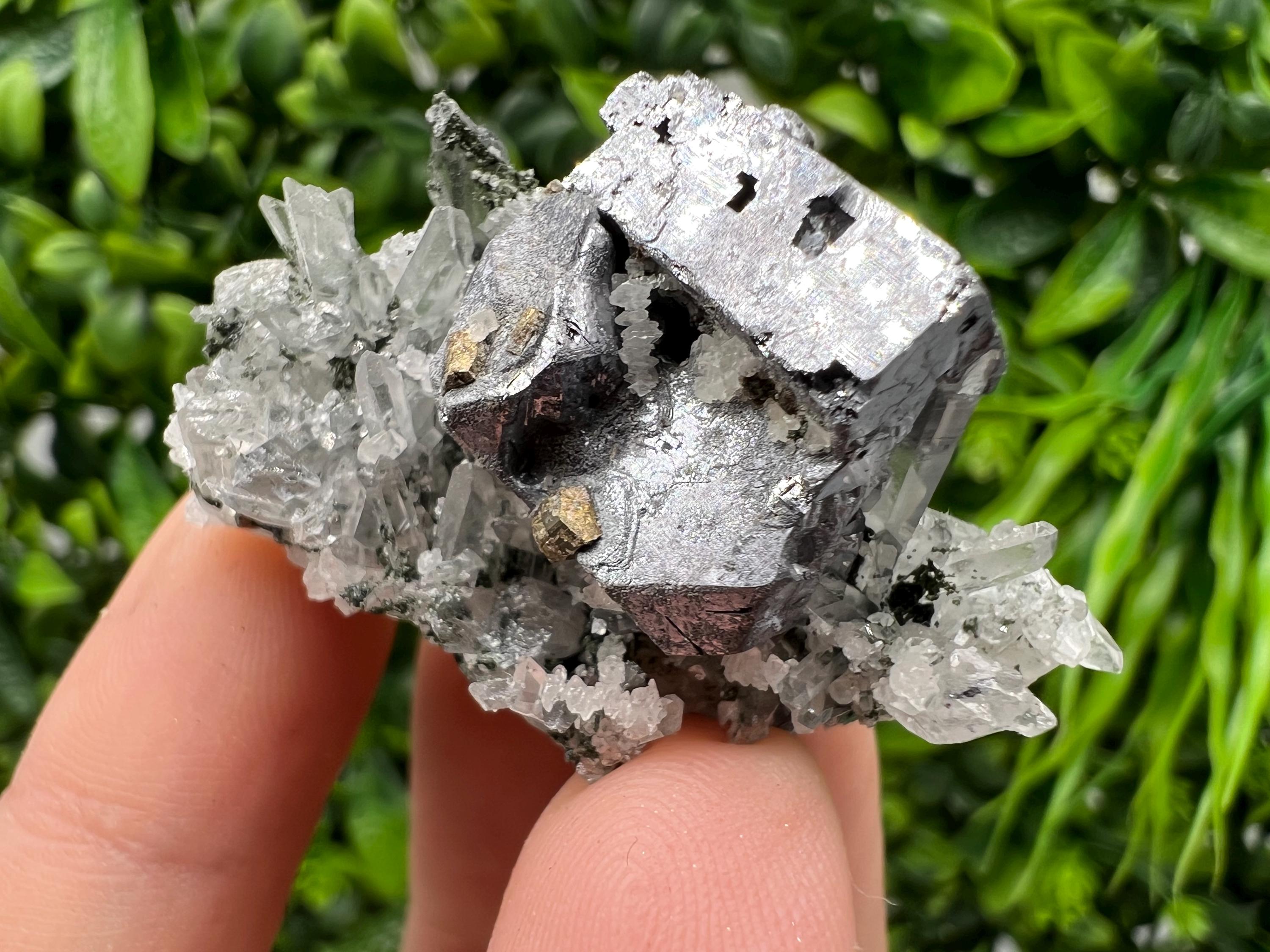 Galena Pyrite Quartz Specimen, Borieva Mine, Bulgaria