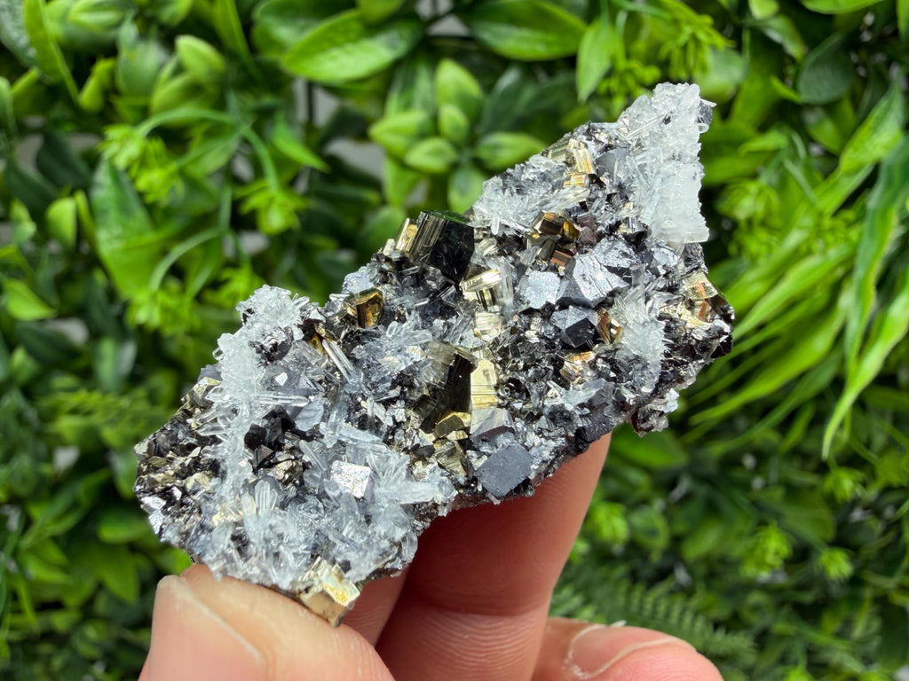 Galena Pyrite Sphalerite Quartz  Mineral Specimen, Krushev dol Mine