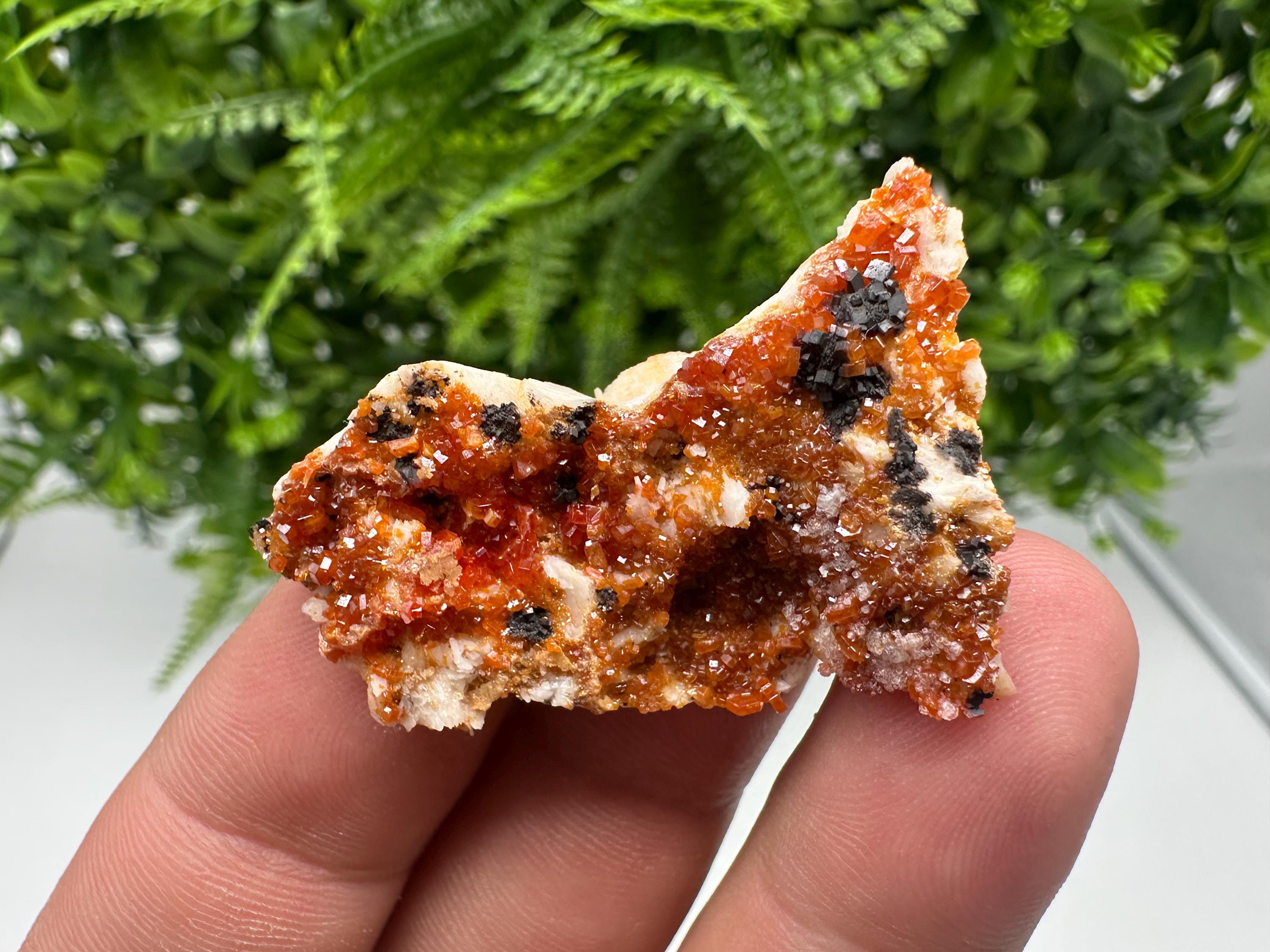 Red Vanadinite on Barite from Marocco,crystal minerals Speciment cluster Vanadinite crystal Vanadinite Geology Vanadinite cluster minerals