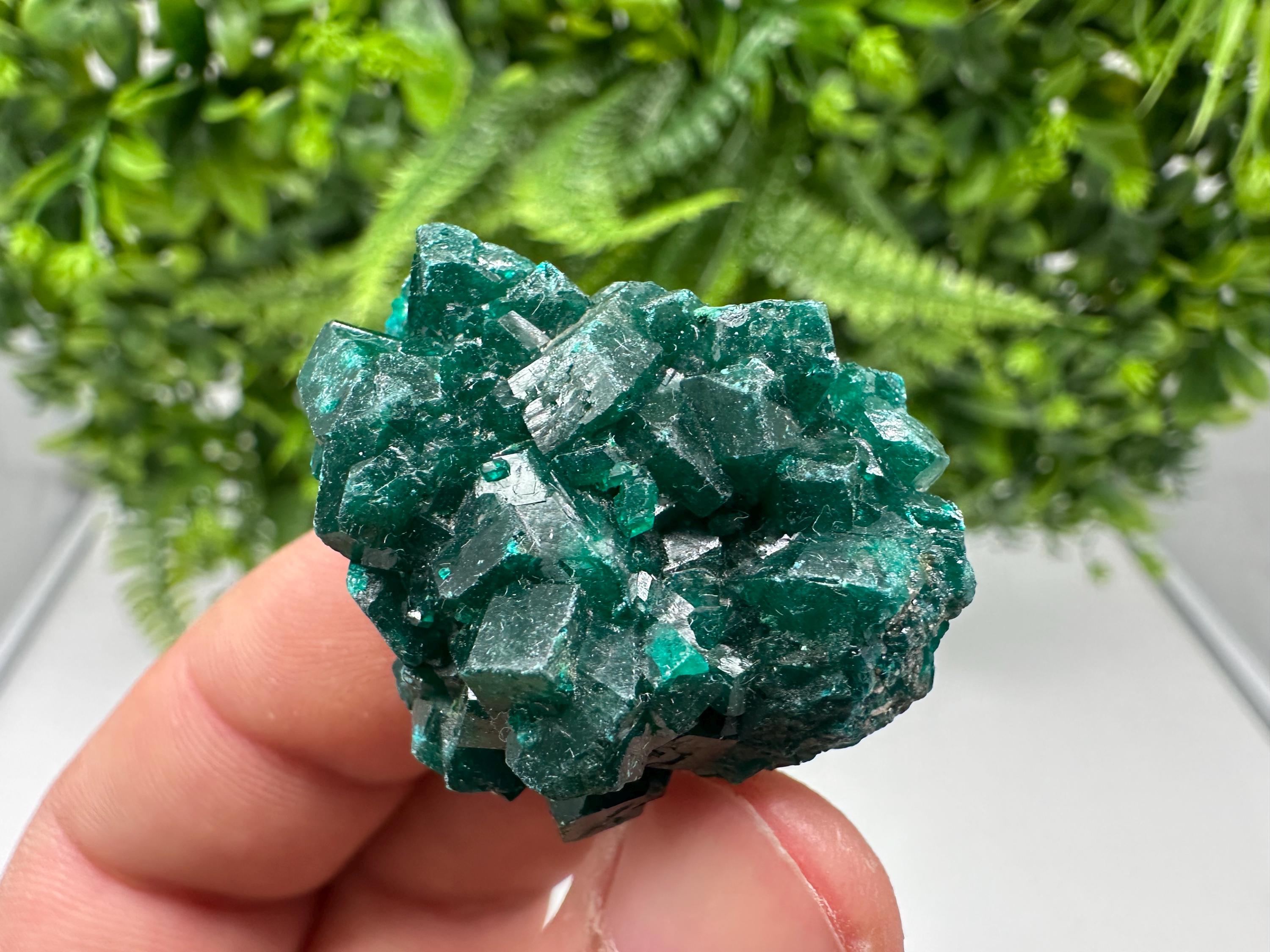Stunning Green Dioptase from Sanda Hills,Mindouli,Pool Department,Mindouli District,Congo,green Dioptase,Dioptas Crystal,Dioptase collecting