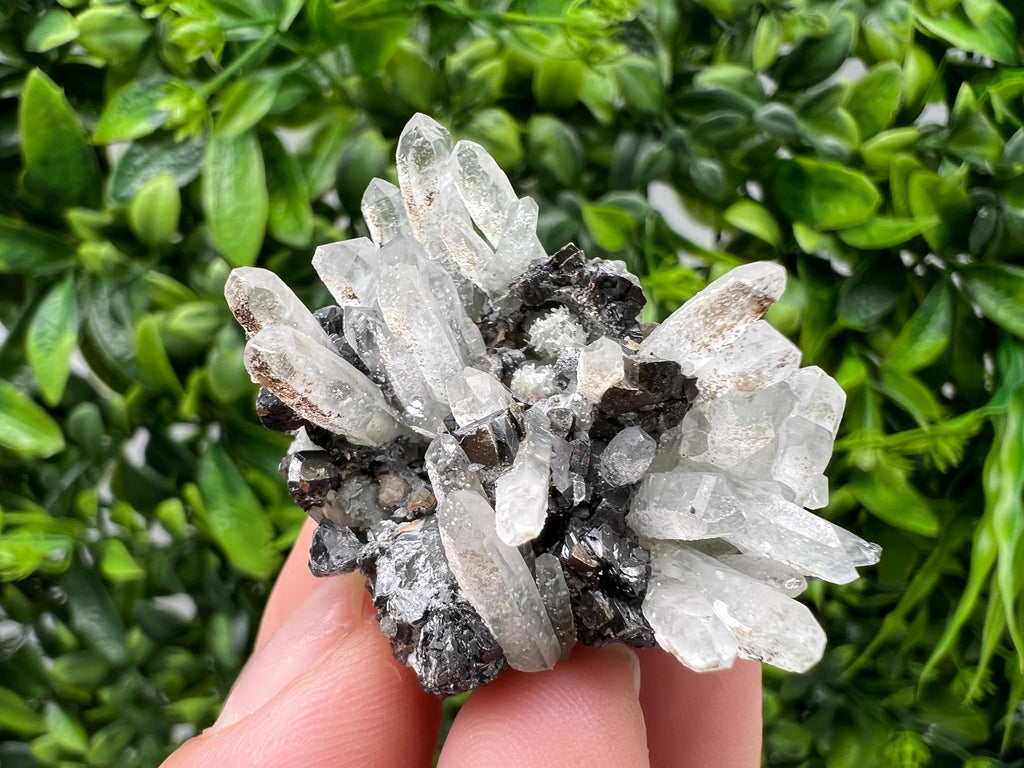 Transparent Quartz,Chlorite,Chalcopyrite Matrix,From Borieva mine,Madan,Bulgaria,Quartz,Quartz crystal,mineral specimen,collection quartz