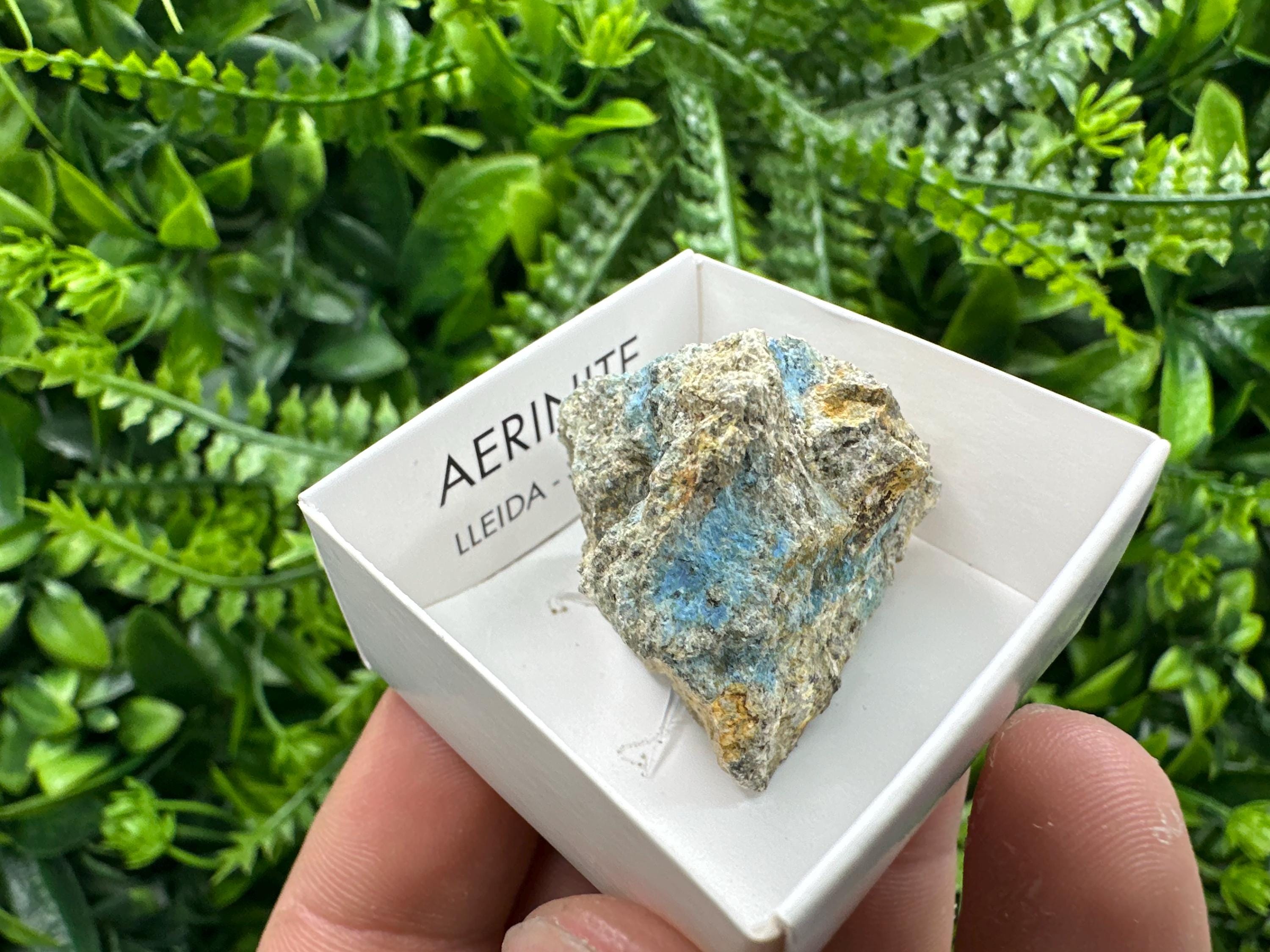 Rare Raw Aerinite Mineral Specimen, Lleida Spain