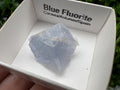 Blue Fluorite Mineral Specimen: Spain Collection (2.5/2.5 cm)
