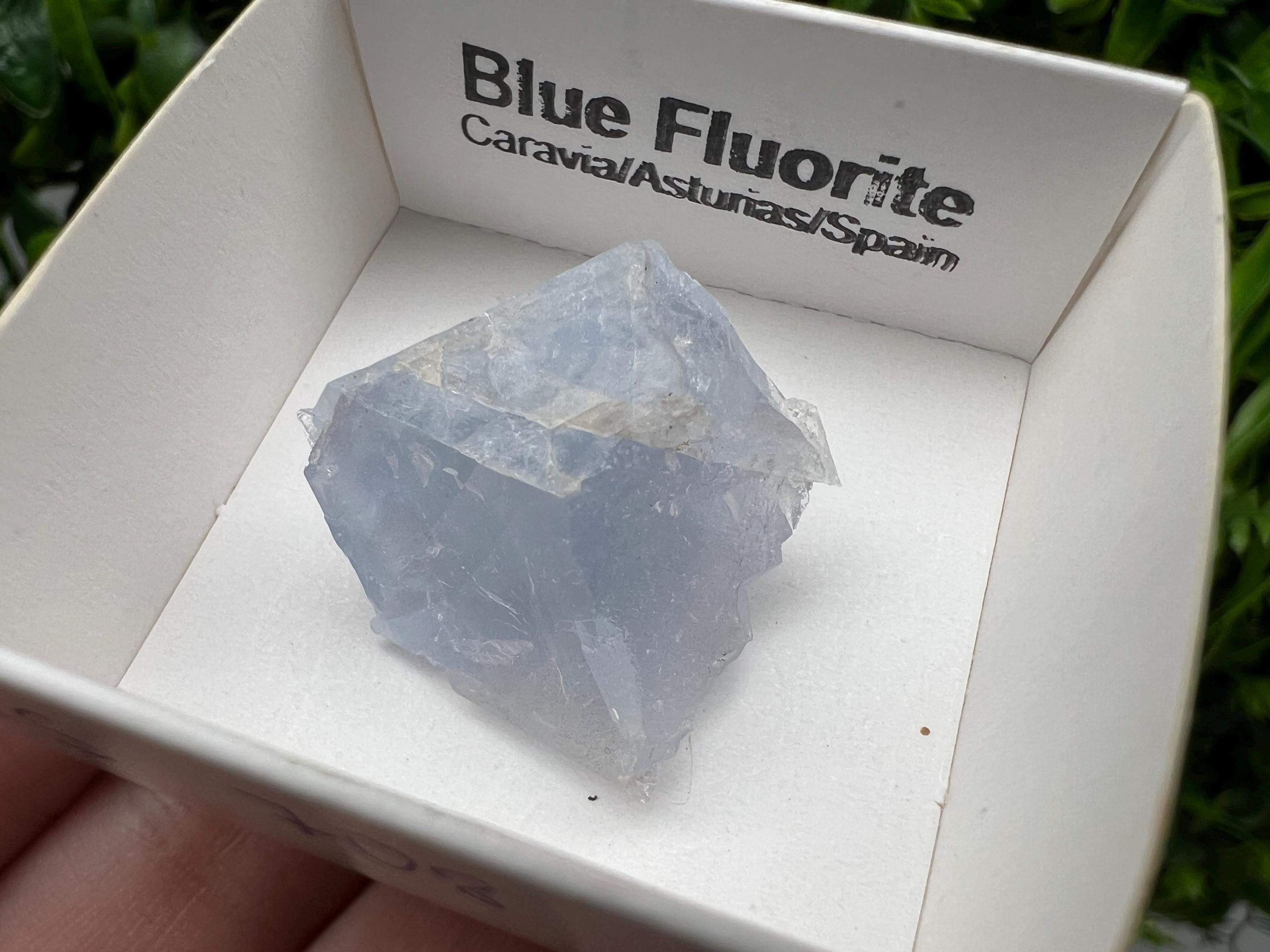 Blue Fluorite Mineral Specimen: Spain Collection (2.5/2.5 cm)