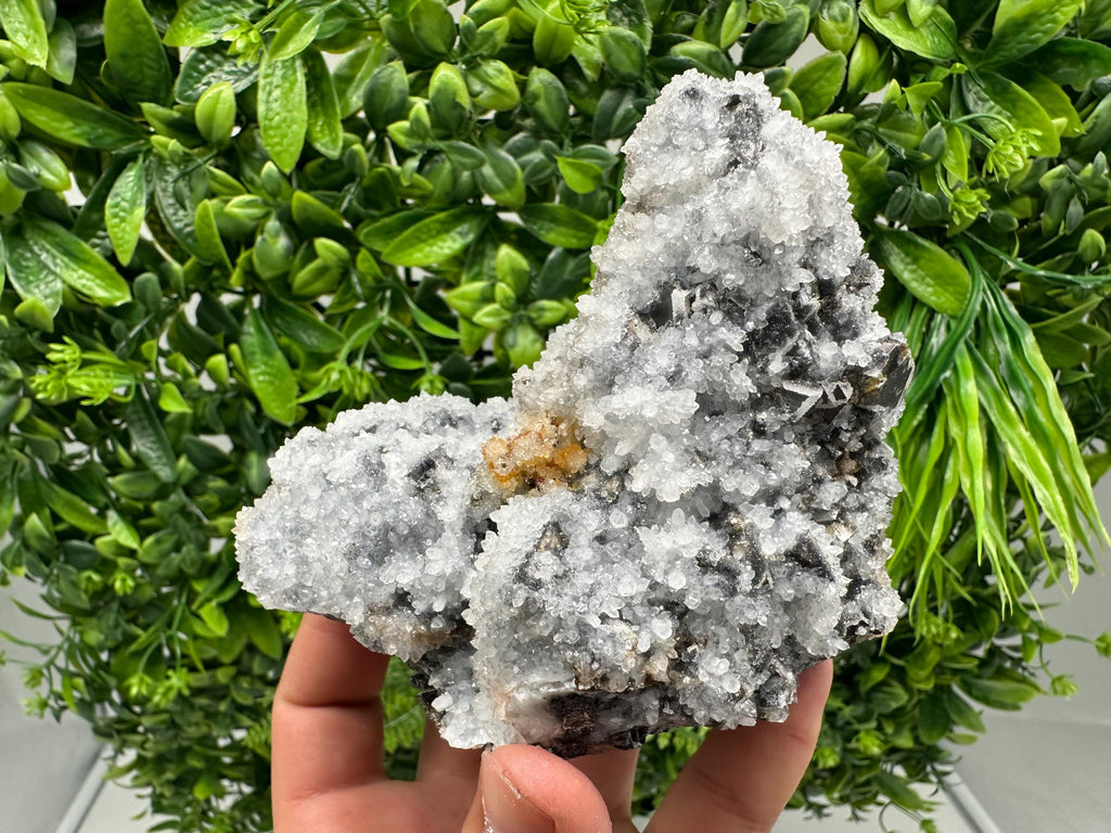Chalcedony Micro Crystal Specimen: Krushev Dol Mineral Collection