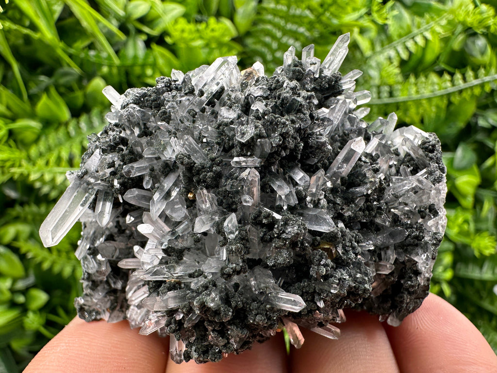 Chlorite Quartz Crystal: Iron Oxide Mineral Specimen, Borieva Bulgaria