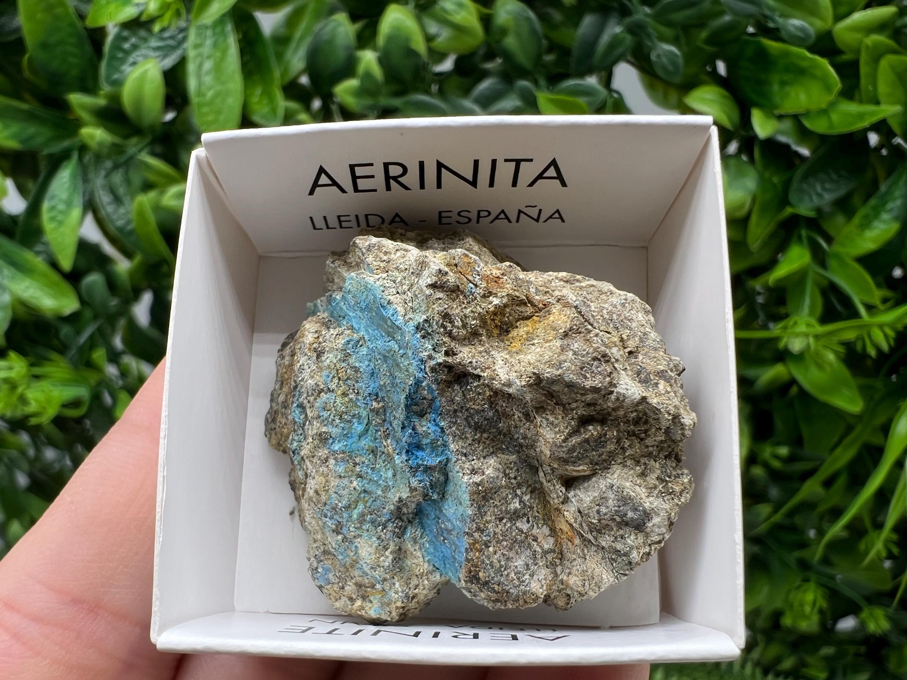 Rare Raw Aerinite Mineral Specimen: Collection Crystal from Lleida, Spain (3.5/3.5 CM)