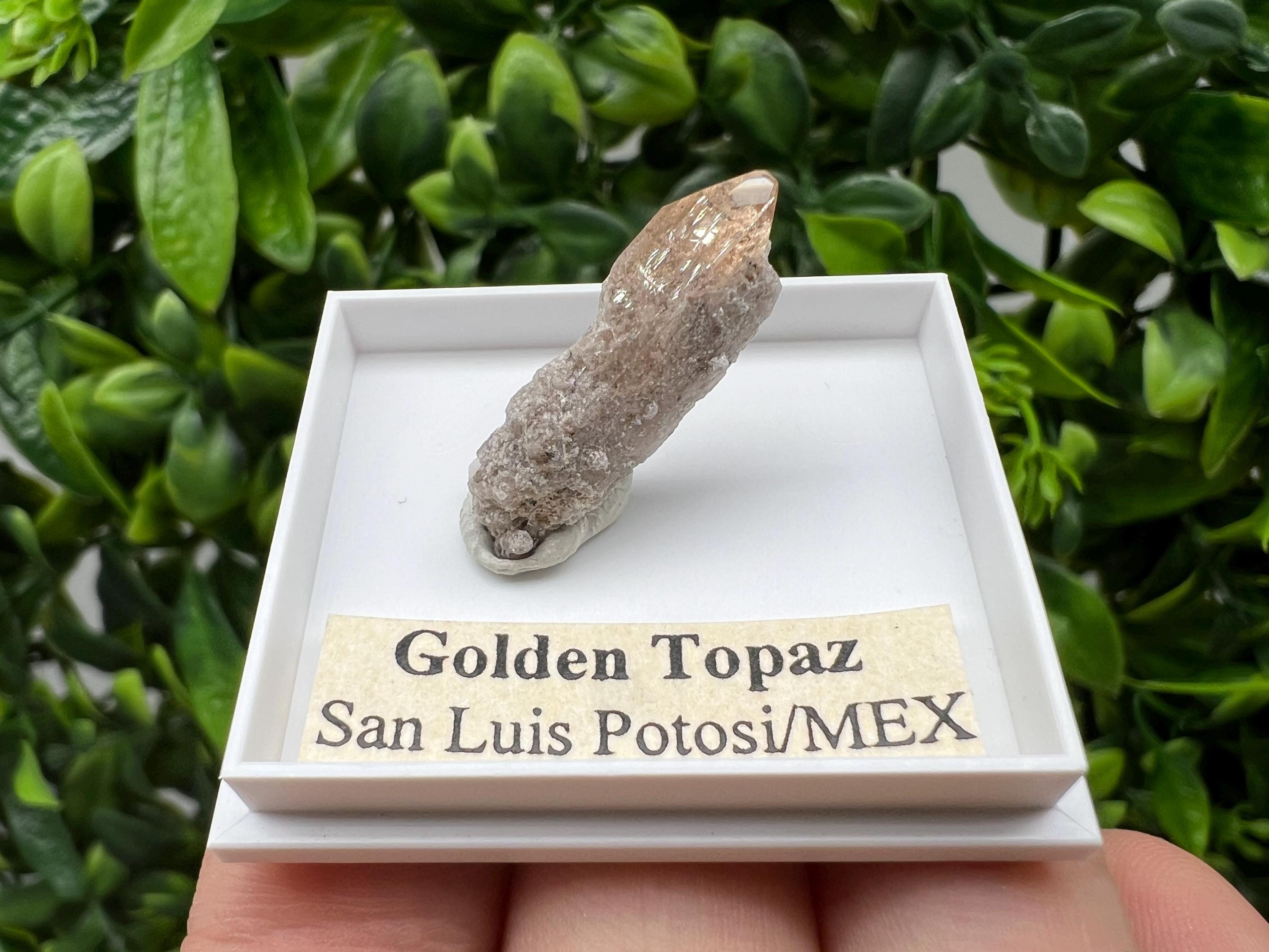 Beautiful Golden Topaz from Mexico,collection piece Crystal,Mineral,collectibles,Collectors, Natural Crystal, Minerals from Mexico,original,