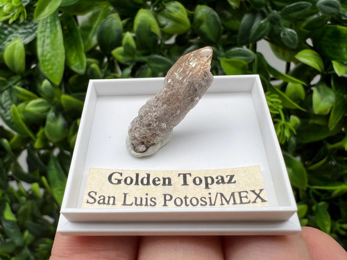 Beautiful Golden Topaz from Mexico, collection piece Crystal, Mineral, collectibles, Collectors, Natural Crystal, Minerals from Mexico, original,