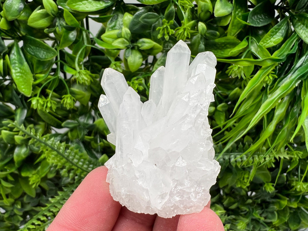 Transparent Quartz Cluster, Djurcovo Mine, Bulgaria, Mineral Specimen