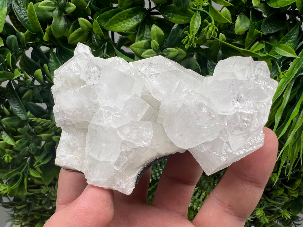 Apophyllite on Chalcedony Specimen: Transparent Crystal, India Minerals