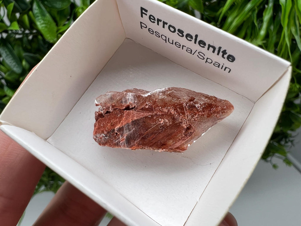 Rare Ferroselenite Crystal Mineral Specimen, Spain (3.4/1.8 cm)