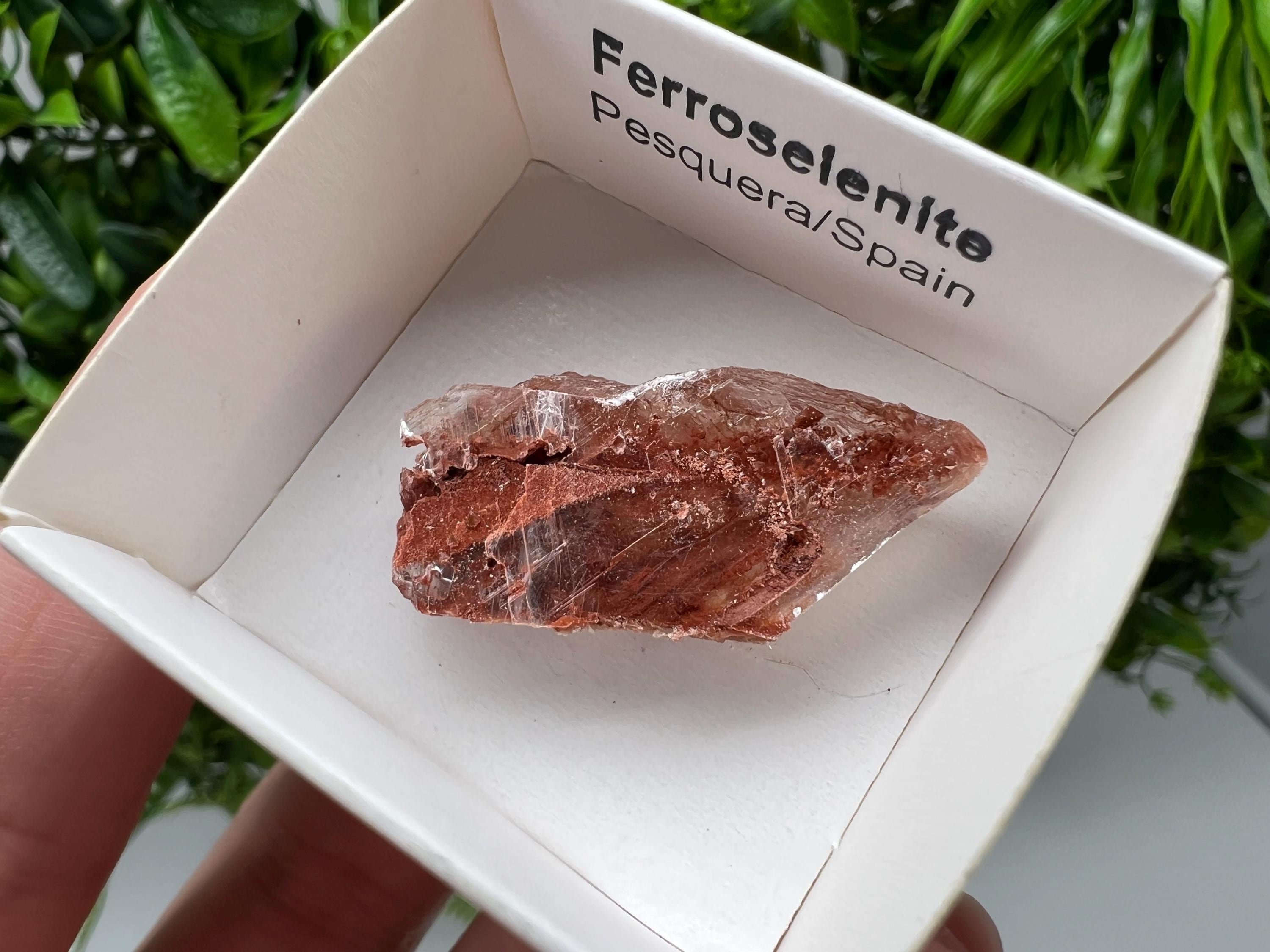 Rare Ferroselenite Crystal Mineral Specimen, Spain (3.4/1.8 cm)