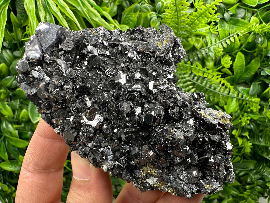 Shiny Galena with Black Sphalerite: Natural Mineral Souvenir
