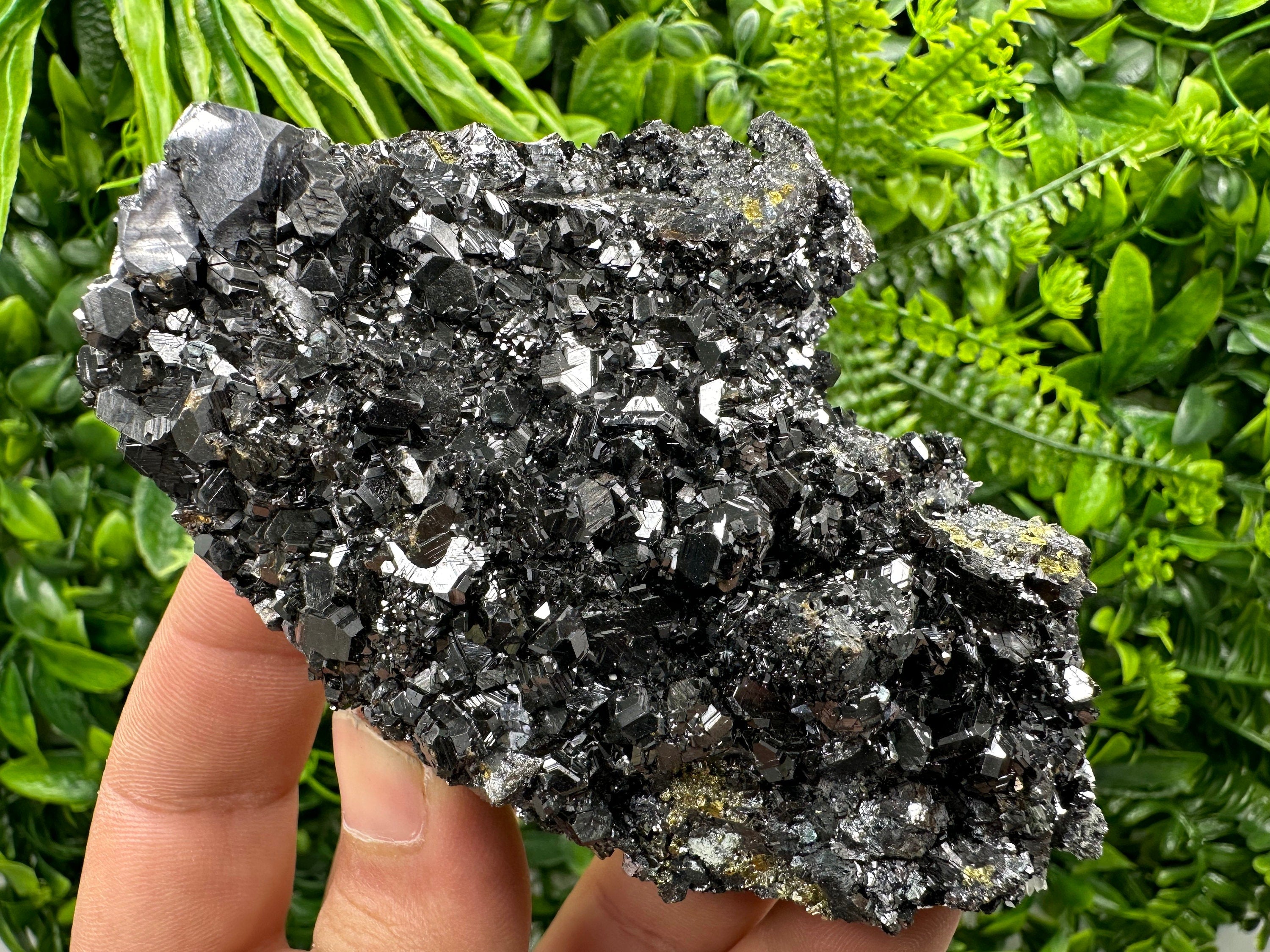 Shiny Galena with Black Sphalerite: Natural Mineral Souvenir