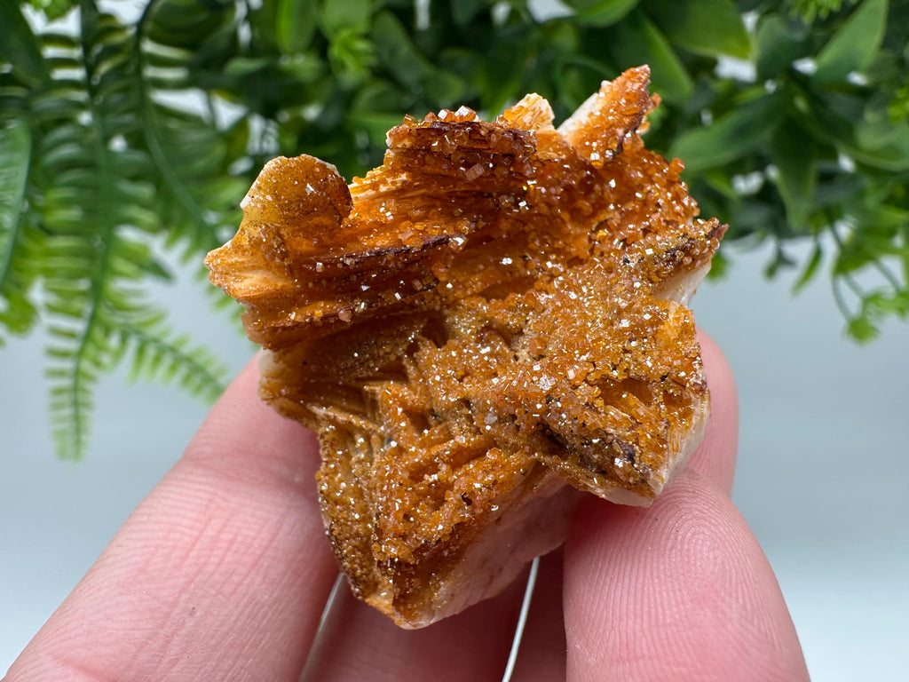 Red Vanadinite on Barite from Marocco,crystal minerals Speciment cluster Vanadinite crystal Vanadinite Geology Vanadinite cluster minerals