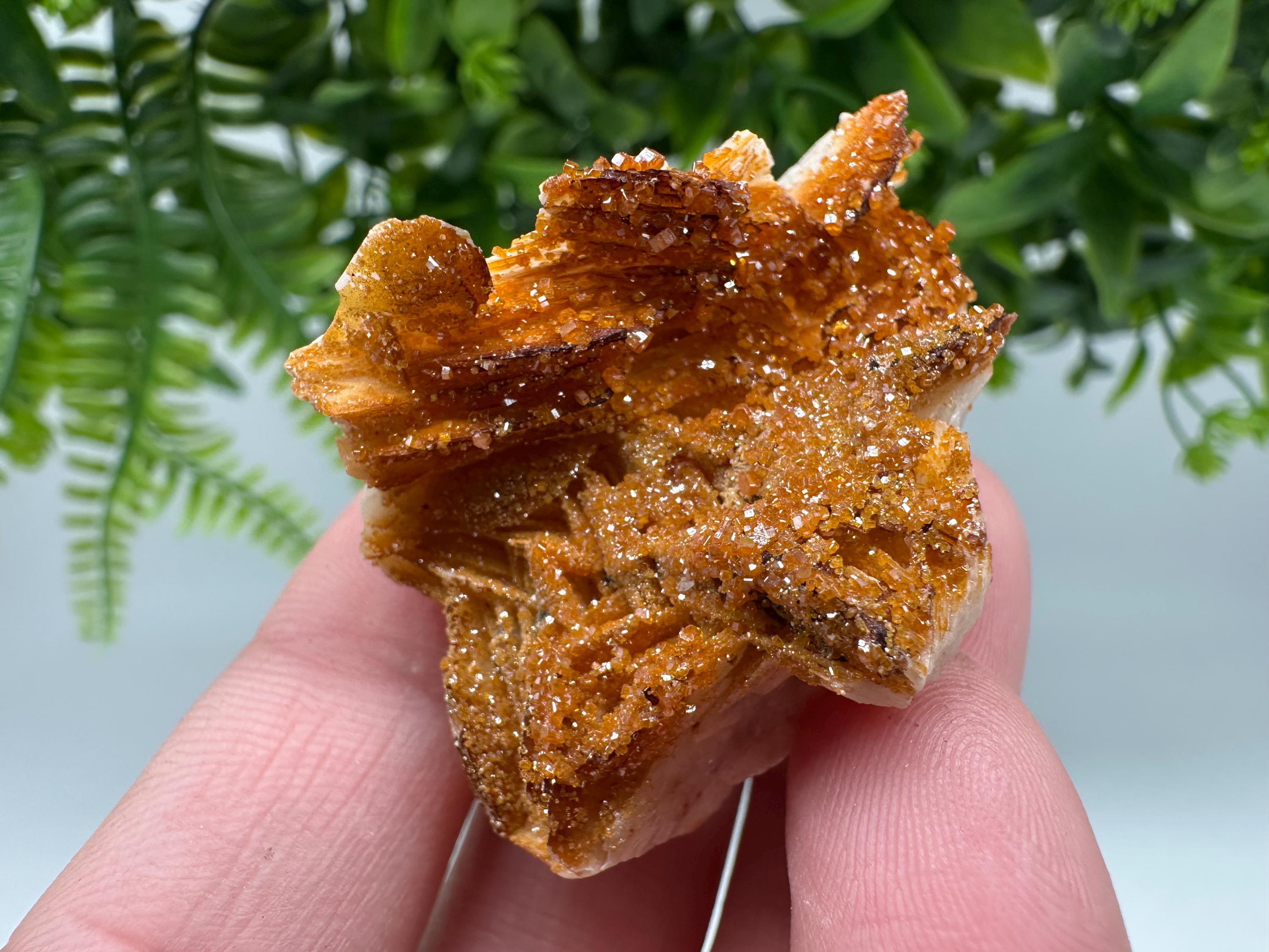 Red Vanadinite on Barite from Marocco,crystal minerals Speciment cluster Vanadinite crystal Vanadinite Geology Vanadinite cluster minerals
