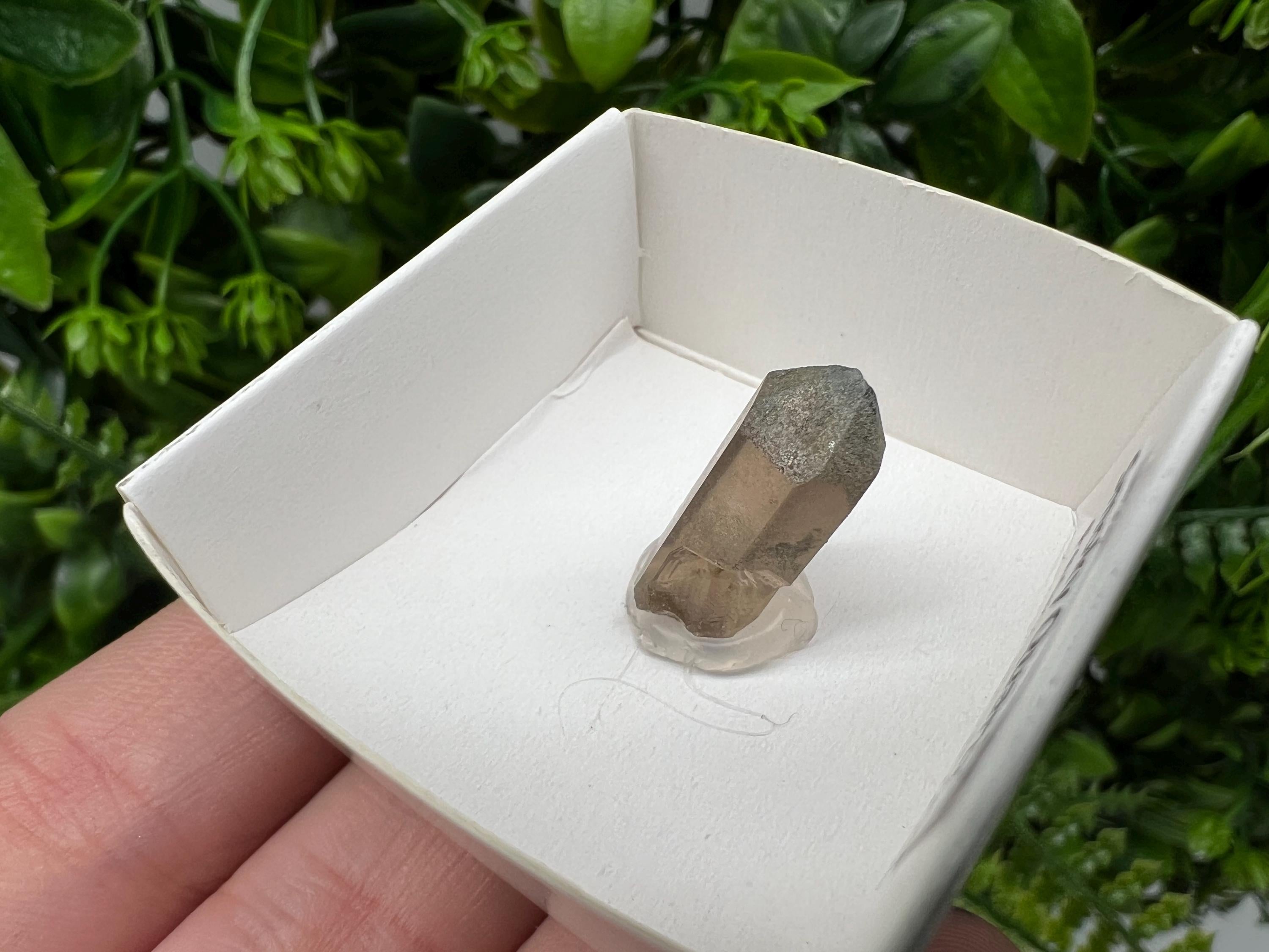 Rare Fedenstock Smoky Quartz Point, Swiss Mineral Specimen (20MM)
