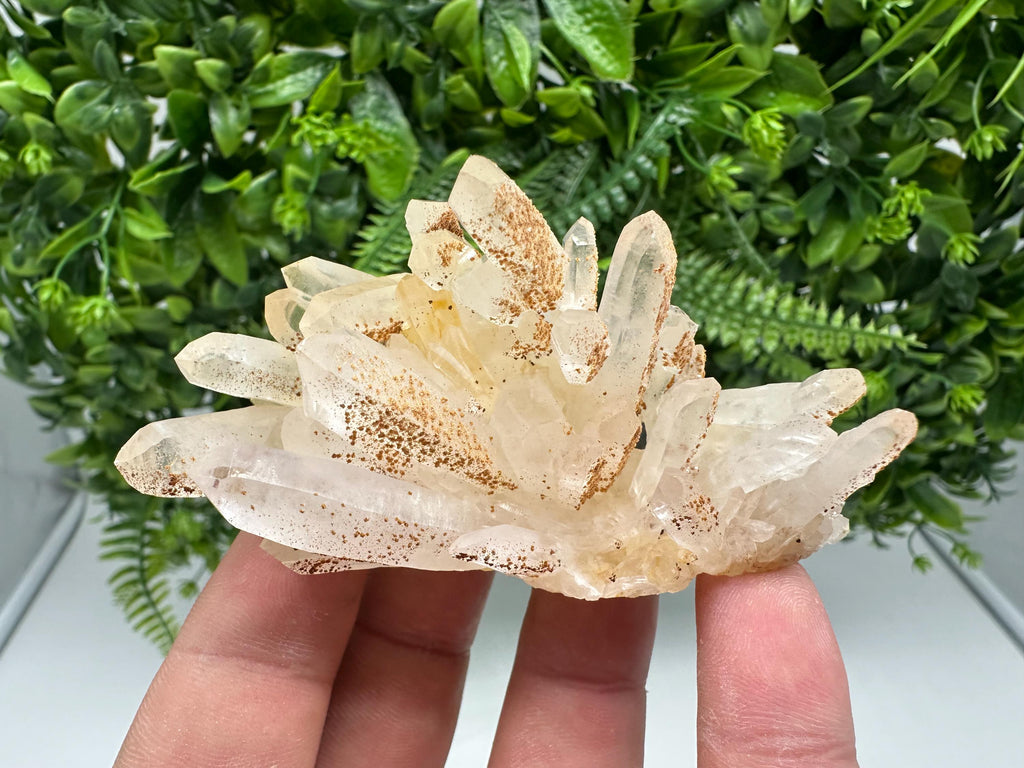 Transparent Quartz whit Siderite 9th September mine Bulgaria natural minerals souvenir crystal stone gift minerals collection rock