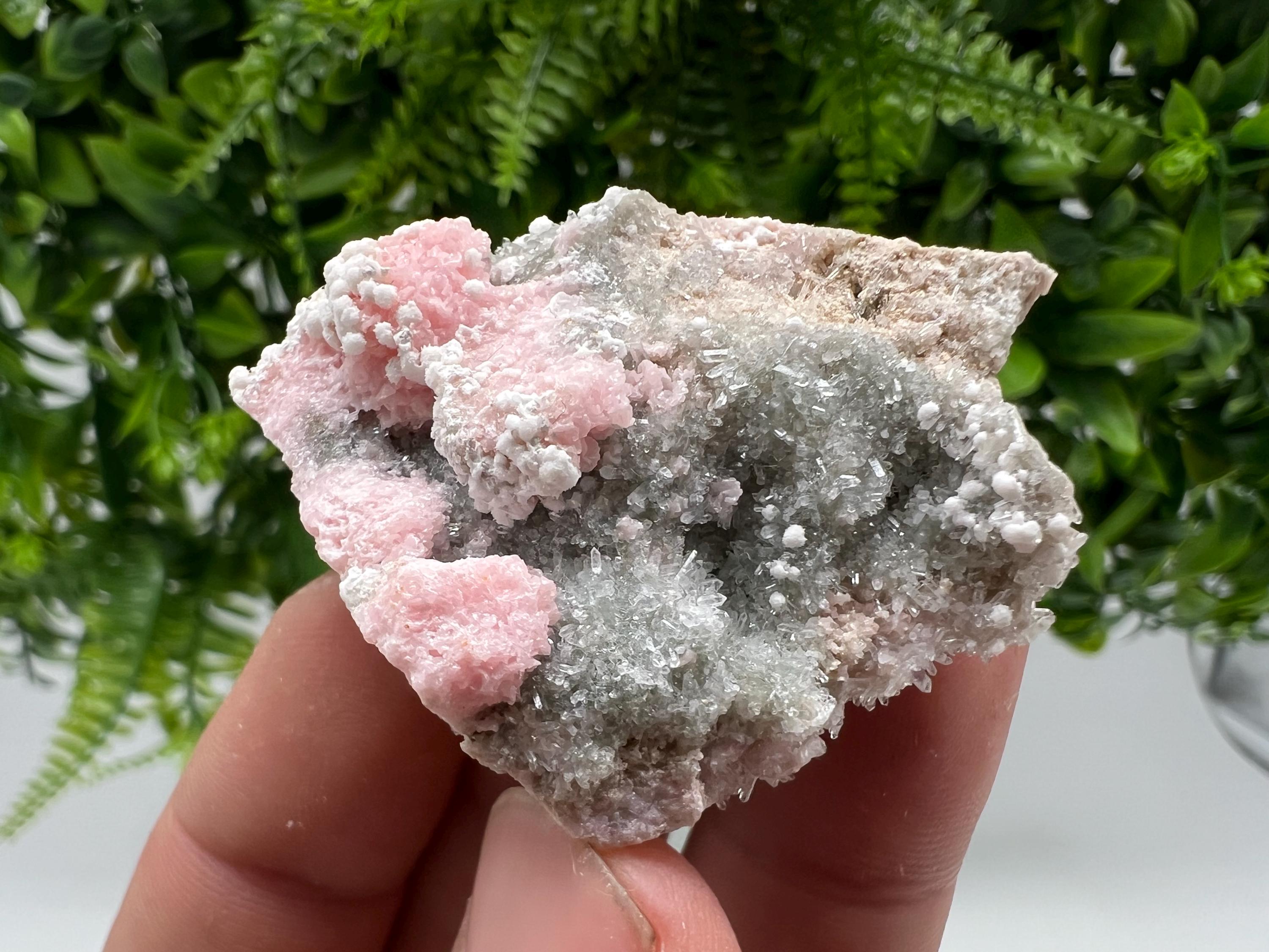 RARE Rhodochrosite with Calcite: Starnica Mine, Bulgaria