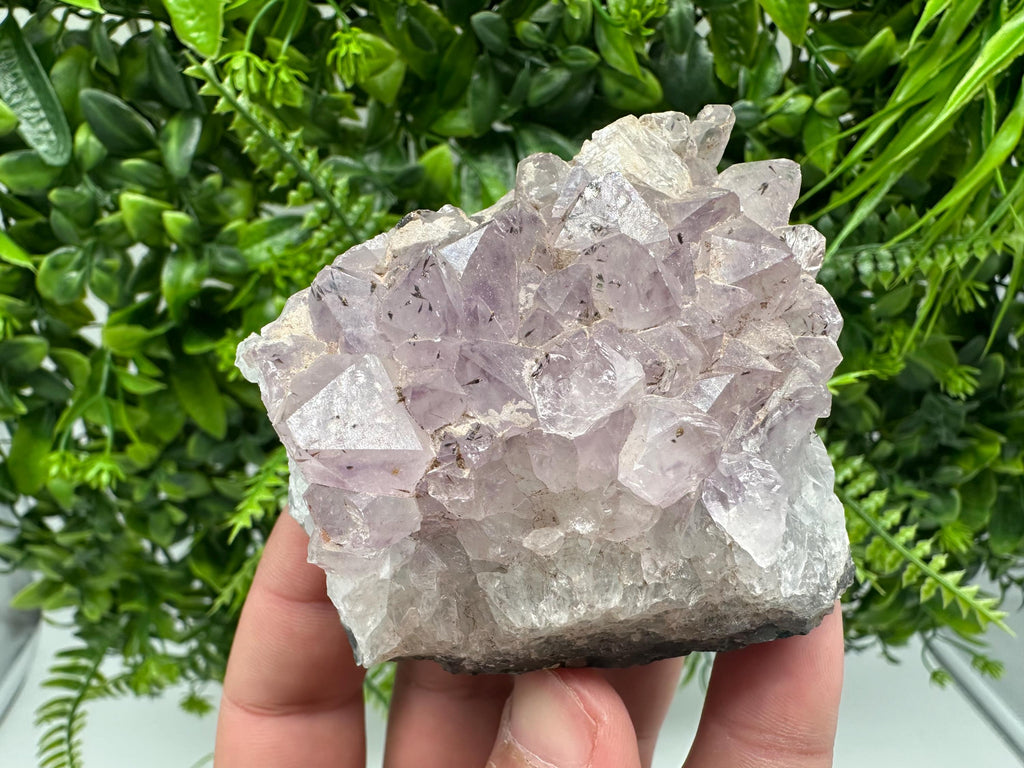 Brazilian Amethyst Crystal Cluster Specimen, Purple Quartz