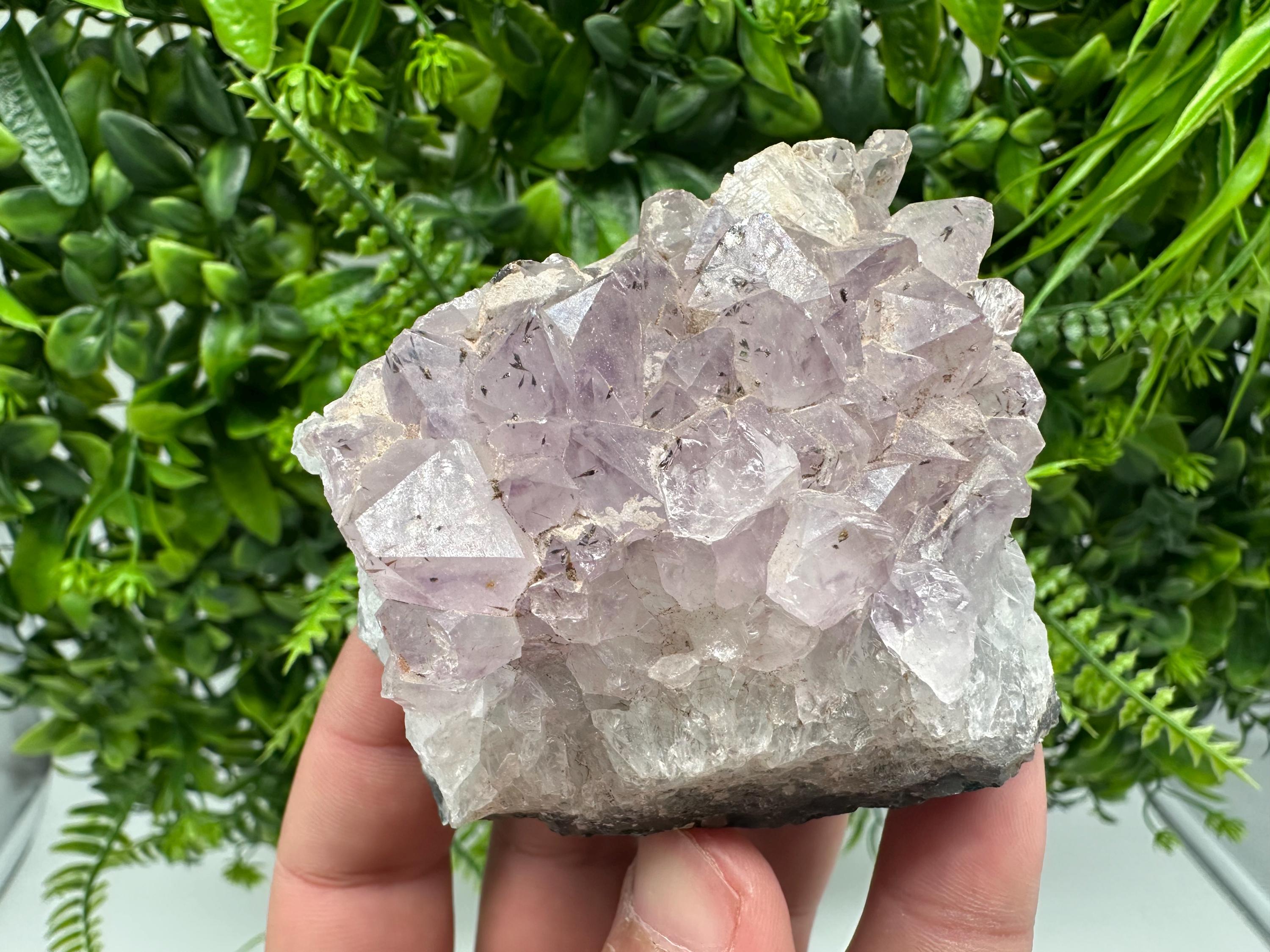Brazilian Amethyst Crystal Cluster Specimen, Purple Quartz