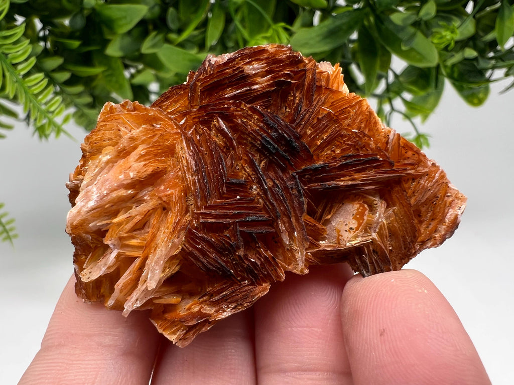 Wonderful Baryte with Cerussite on Galena from Morocco,Crystal, Mineral,Specimen,Cluster,Crystals,Barite Crystal,Cerussite Crystal,Specimen