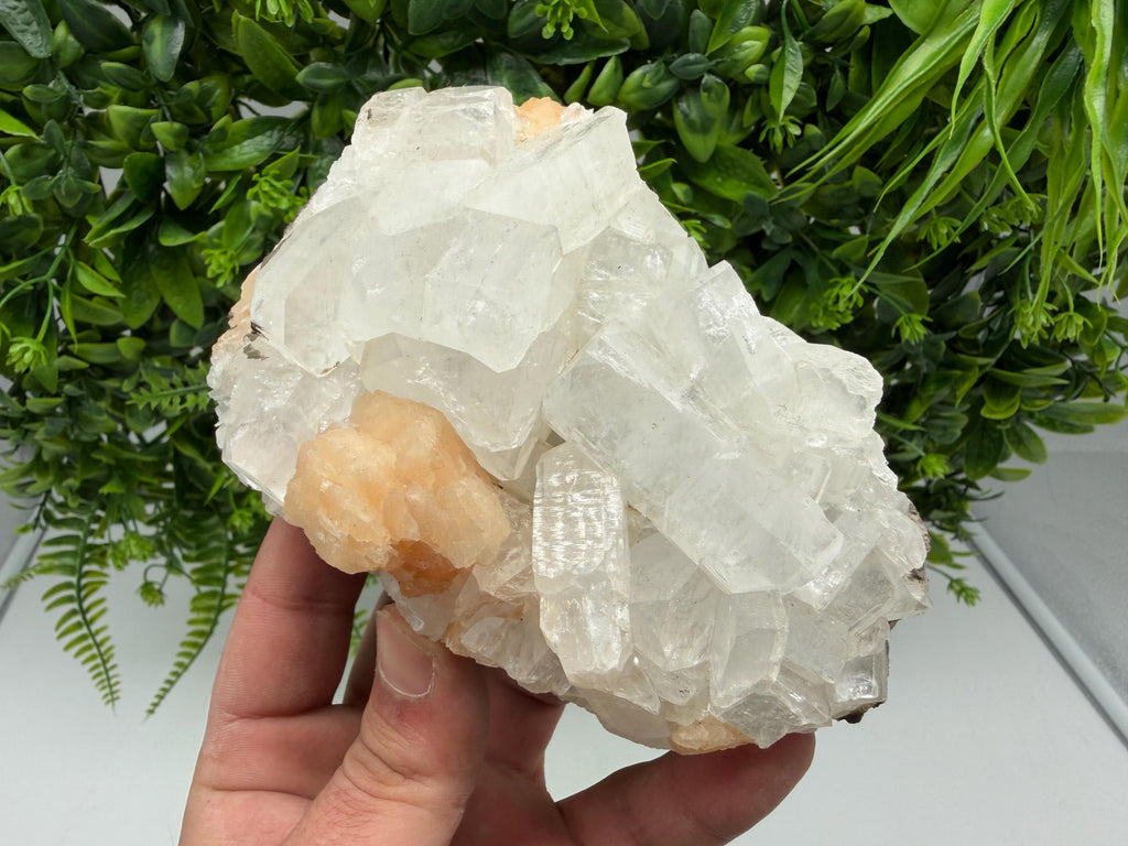 Apophyllite Stilbite Chalcedony Specimen: India Minerals, Crystal Stone