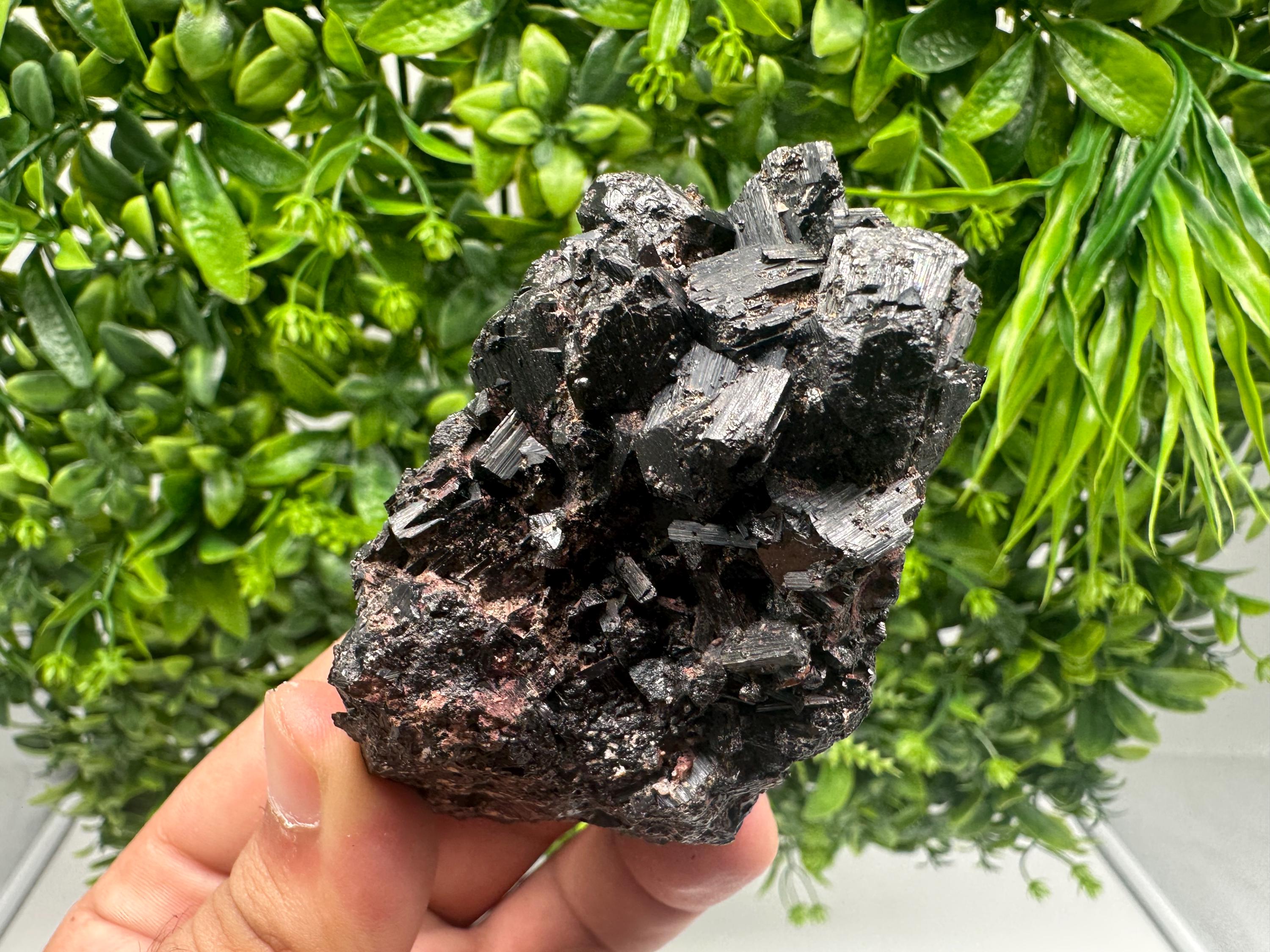 Rare Tourmaline,Rubellite from Vitosha Mountain,Bulgaria,Large Black Tourmaline,Rubellite,mineral specimen,collection,collections Tourmaline