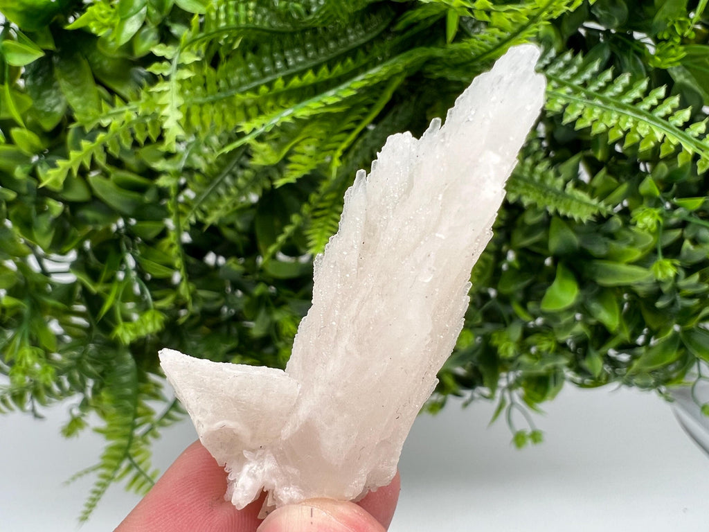 Calcite on Aragonite: Djurcovo Mine, Bulgaria Healing Crystal