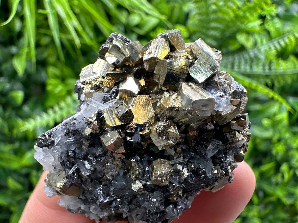 Rainbow Pyrite on Sphalerite & Quartz, Borieva Mine, Bulgaria