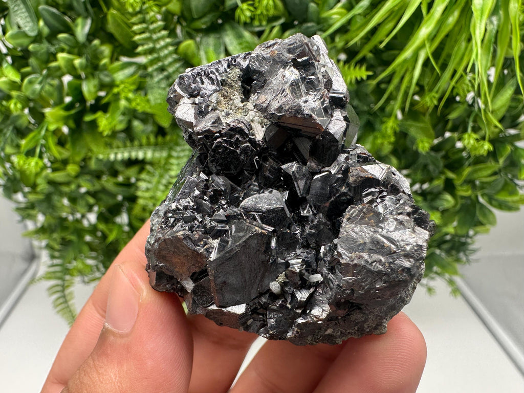 Sphalerite with Chlorite, Borieva Mine, Madan, Bulgaria