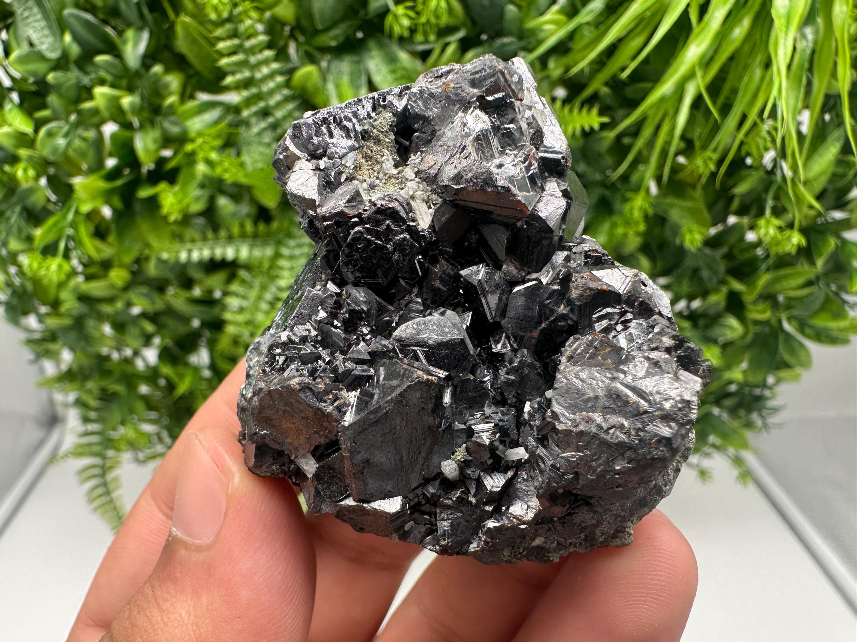 Sphalerite with Chlorite, Borieva Mine, Madan, Bulgaria