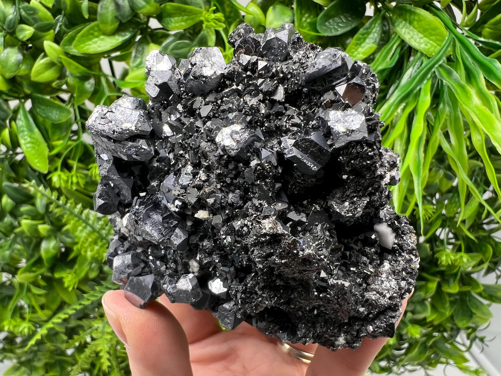 Galena Spinel Law on Sphalerite, Madan Bulgaria Mineral Specimen