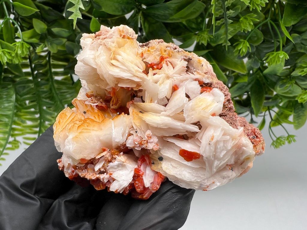 Red Vanadinite on Barite from Marocco,crystal minerals Speciment cluster Vanadinite crystal Vanadinite Geology Vanadinite cluster minerals