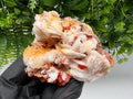 Red Vanadinite on Barite from Marocco,crystal minerals Speciment cluster Vanadinite crystal Vanadinite Geology Vanadinite cluster minerals
