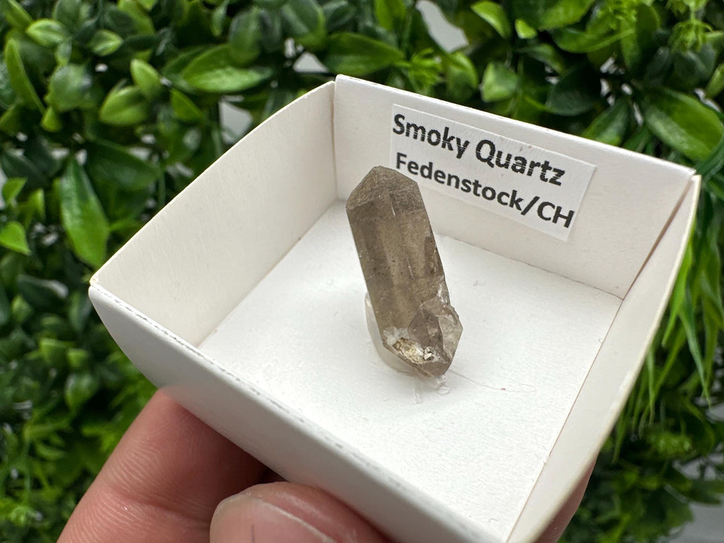 Rare Smoky Quartz Point, Fedenstock Switzerland Mineral Specimen