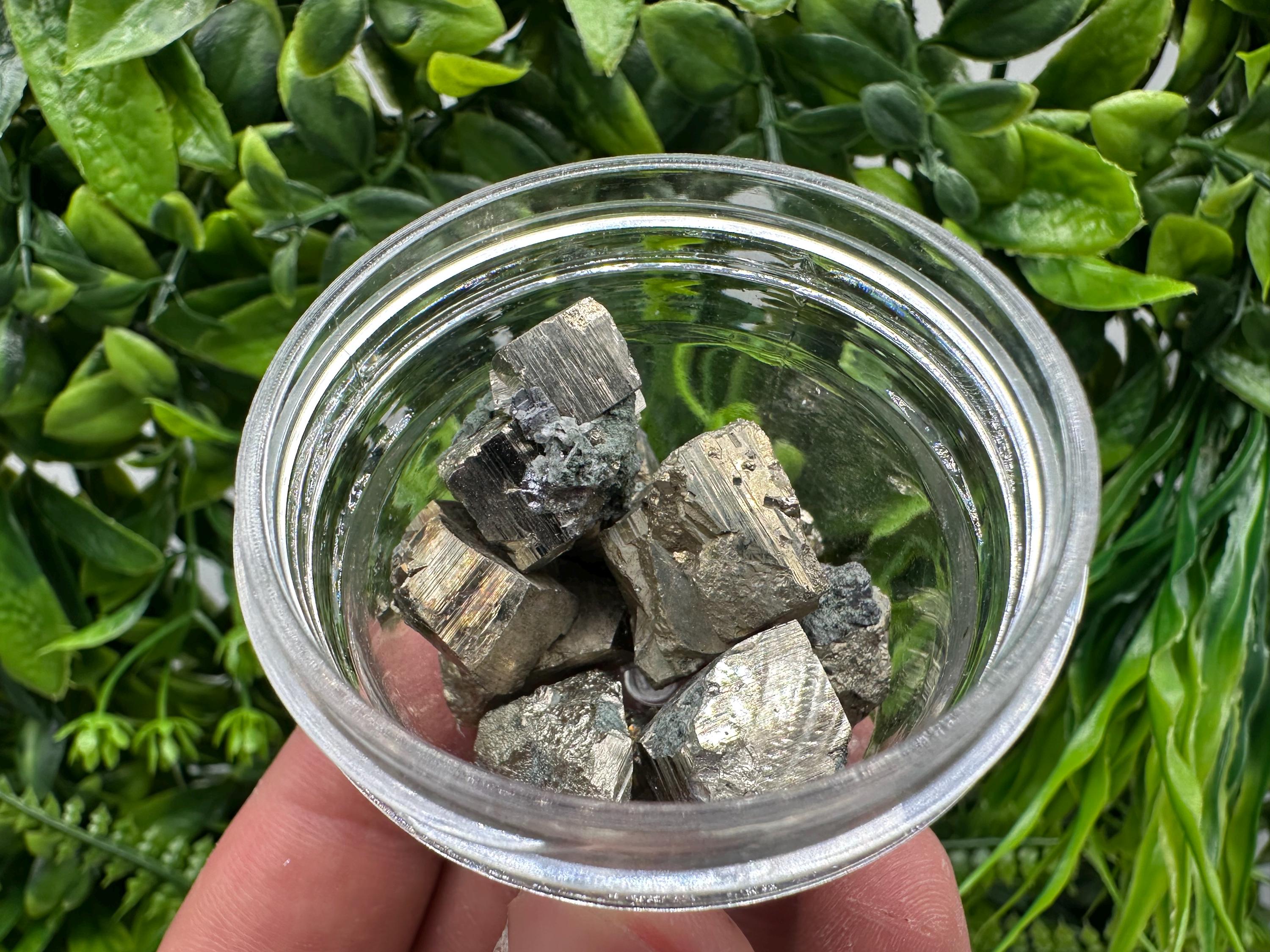 Golden Pyrite Cubes in Box: Collection Stone, Gift, Souvenir