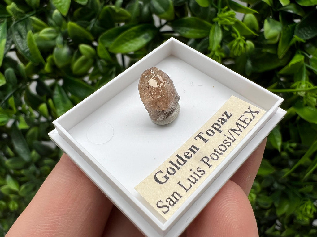 Beautiful Golden Topaz from Mexico,collection piece Crystal,Mineral,collectibles,Collectors, Natural Crystal, Minerals from Mexico,original,