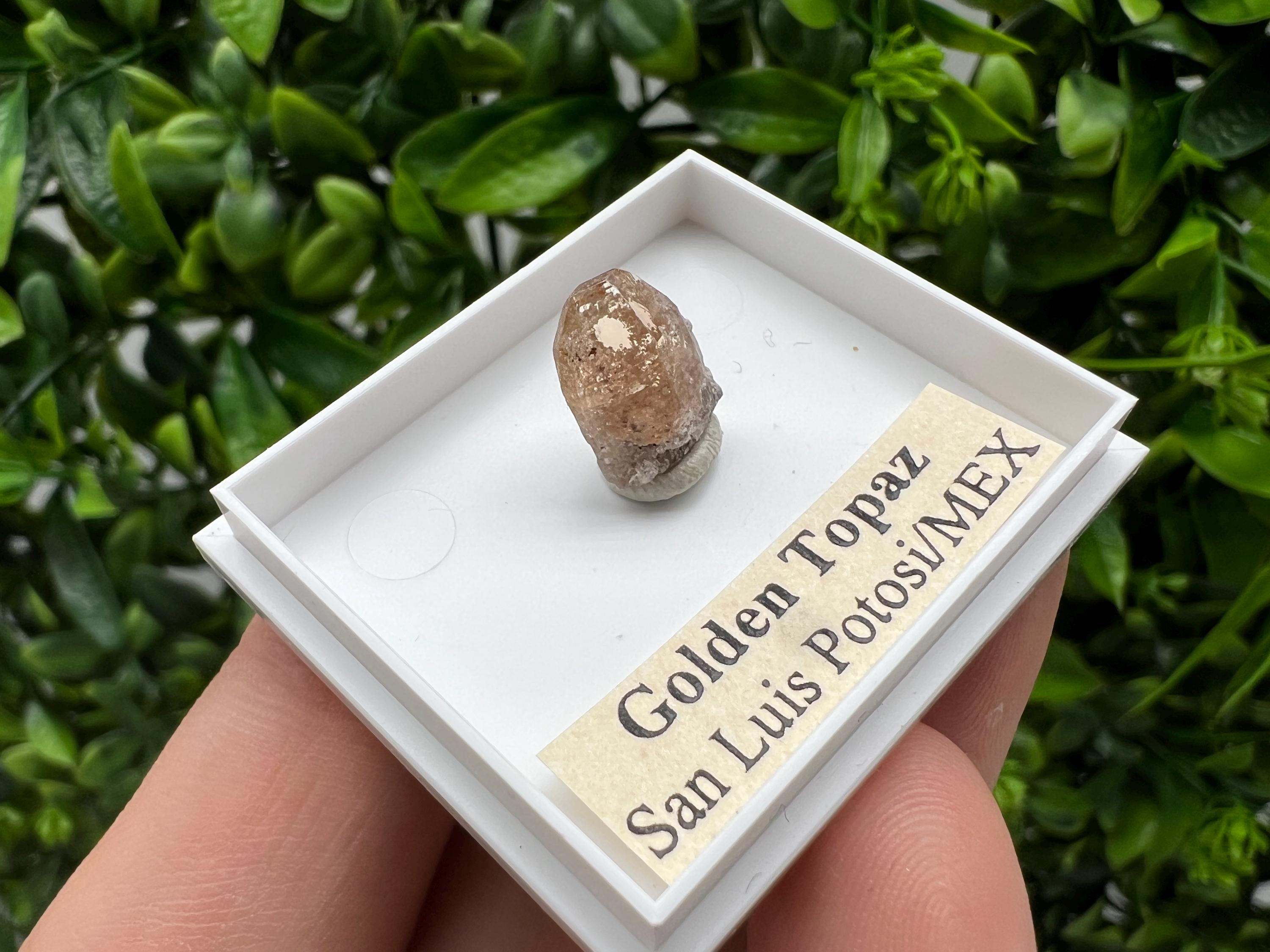 Beautiful Golden Topaz from Mexico,collection piece Crystal,Mineral,collectibles,Collectors, Natural Crystal, Minerals from Mexico,original,